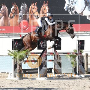 HR2A0602