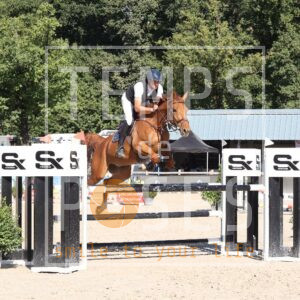 HR2A0683