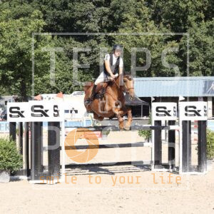 Cees D Z
