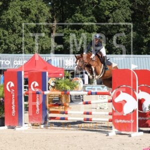 Beau vd rollebeek z