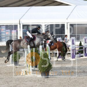 BETTY DU MURY MARAIS Z