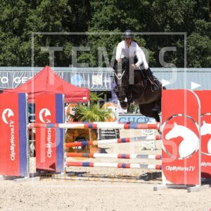 Dream Lady Van 'T Zomerhof