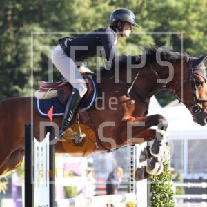 HR2A1659