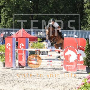 Candy Crush van Ponyland Z