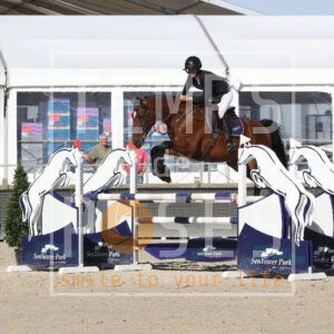Design Fee Sauveniere z