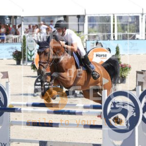 Dream boy des Bruyeres Z