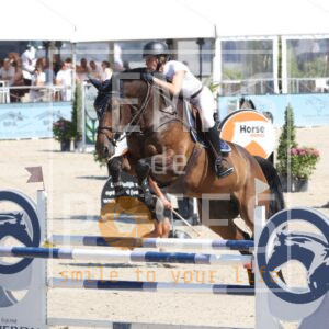Ossander D.S
