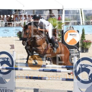 Champion De Bourguignon Z