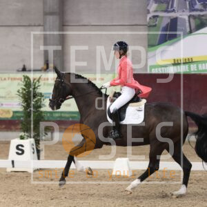HR2A3675