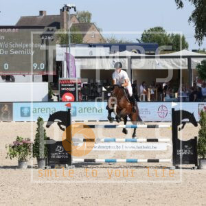 Ultimate Star Vd Schelpenhoeve