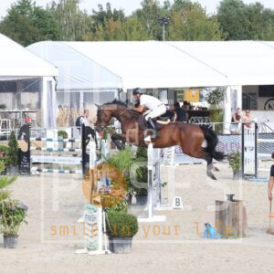 HR2A5233