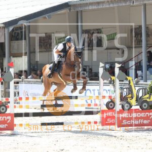 Whisky H Van De Mishagen