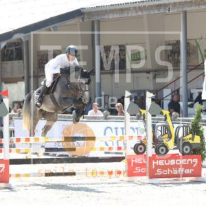 CALLISTO VD PAEPEHOEVE Z
