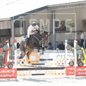 WINNER VAN 'T HOF TE RUYTE
