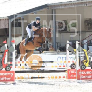 Wiggles van 't Hof ter Dori