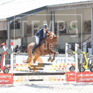 Contaro de Holliguette Z