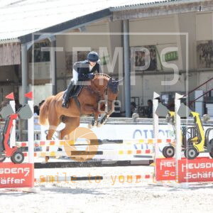 WENNELOU HS NETEHOF