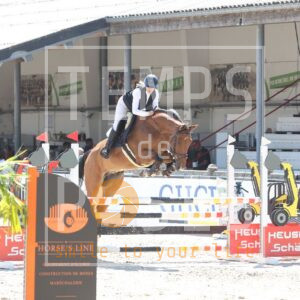 Max vd rollebeek z