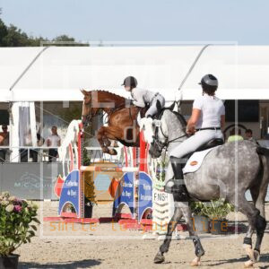 CESAR DES ALLOUX Z