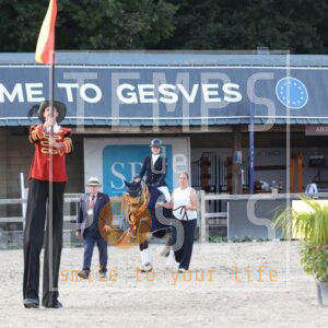 5 ANS DRESSAGE poneys