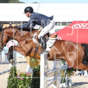 HR2A8383