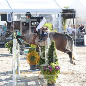 HR2A8807