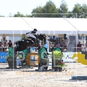 Elio van de neerheide Z