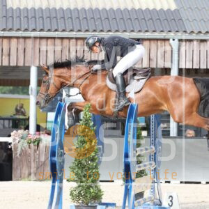 HR2A9416