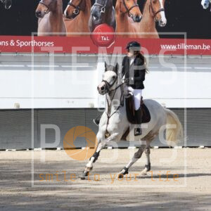 HR2A9576