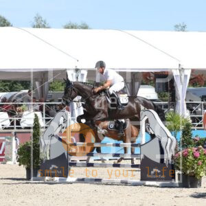HR2A9800