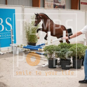 DEAUVILLE DIAMOND Z