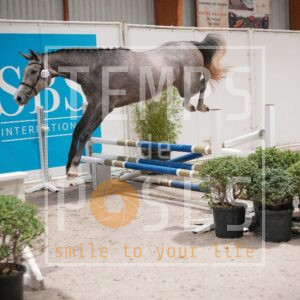 DRS00101