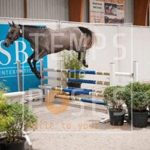DRS00302