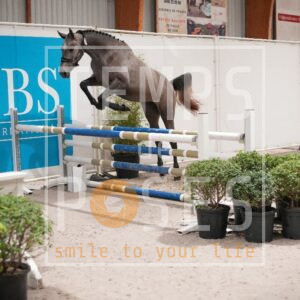 DRS00312