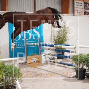 DRS00347