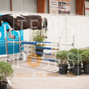 DRS00404