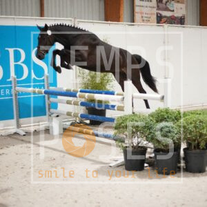 DRS00481