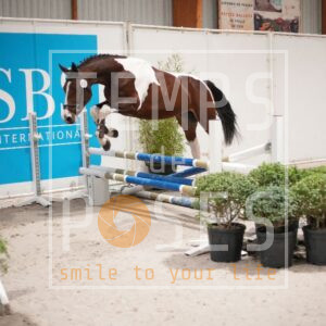 DRS00513