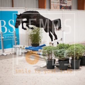 DRS00576
