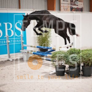 DRS00581