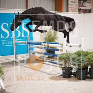 DRS00593