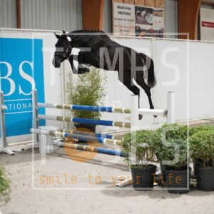 DRS00598