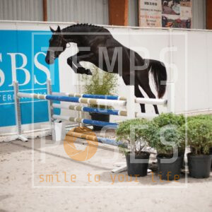 DRS00600