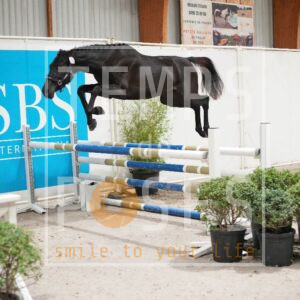 DRS00605