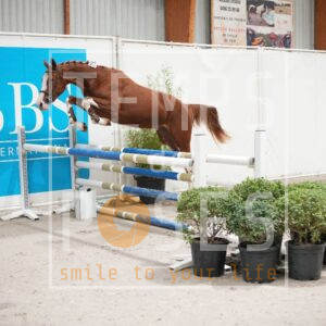 DRS00639