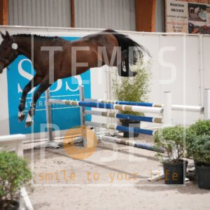 DRS00707
