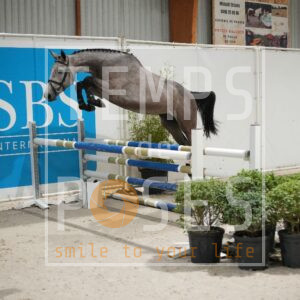 DRS00718