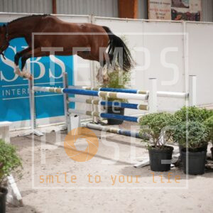 DRS00767