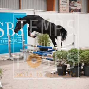 DRS00768