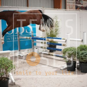 DRS00771
